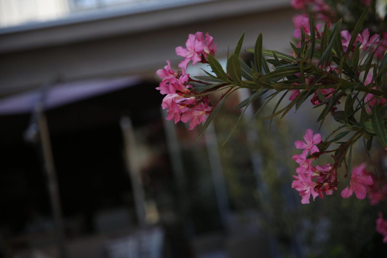 Guest House Lorenta Водице Экстерьер фото
